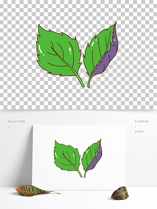 简单的紫苏怎么画图片