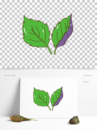 紫苏叶简笔画颜色图片