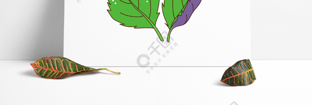 紫苏叶简笔画简单图片