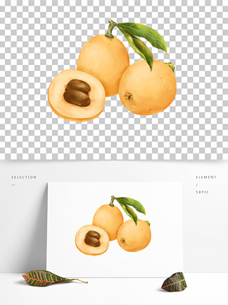 枇杷手繪插 i>畫 /i>元素