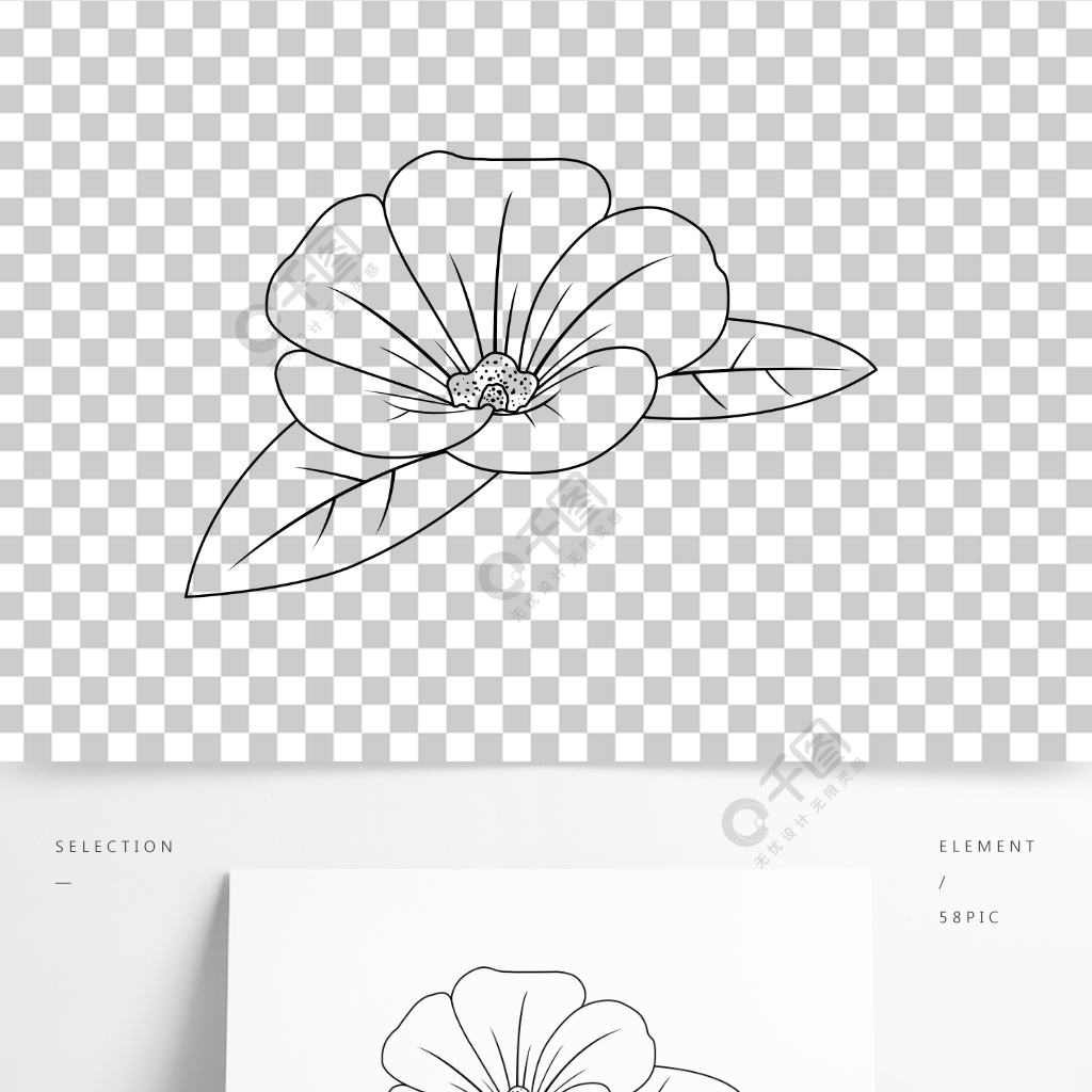 簡約手繪矢量花朵花瓣黑白色素描線稿元素