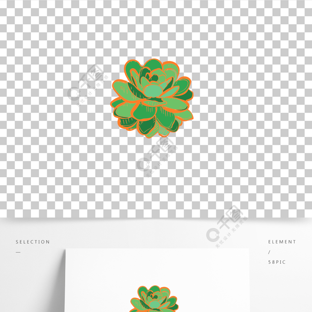 手绘卡通多肉植物绿植