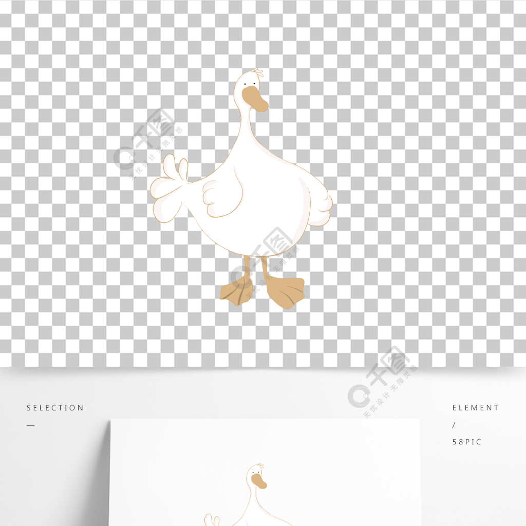 白胖鸭图谱图片