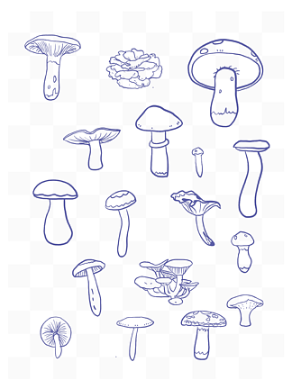 蘑菇香菇平菇手绘插画简笔画菌植物线稿