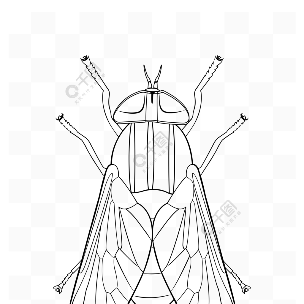 簡約手繪矢量昆蟲蒼蠅黑白色素描線稿元素