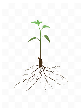 简约手绘矢量绿色植物发芽的小树苗根部元素