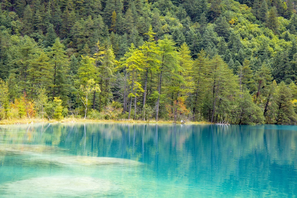 秋天九寨溝犀牛海寧靜湖泊翠綠森林自然風景