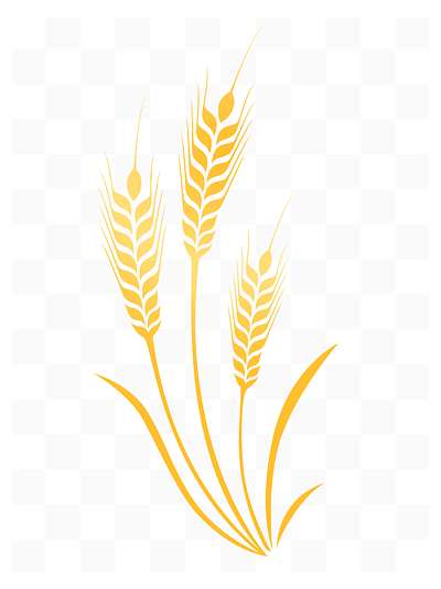 芒种麦子设计素材免费下载