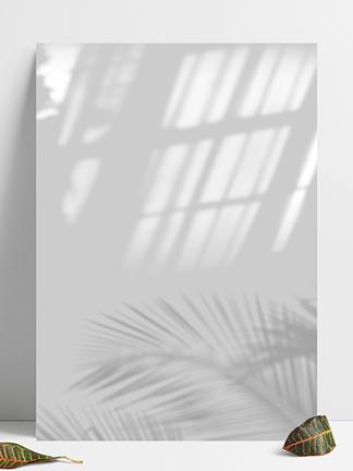 灰<i>色</i>窗户投影光影小清新质感叶子背景图素材