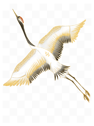 手绘国潮飞翔的张开翅膀的丹顶鹤矢量元素