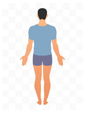 男性人物身体背面图