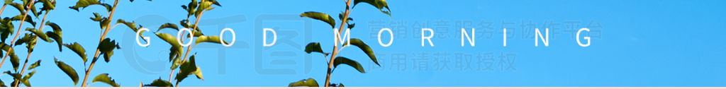 ǩֻ簲