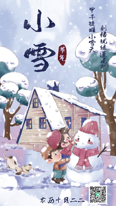 传统节气小雪视频海报