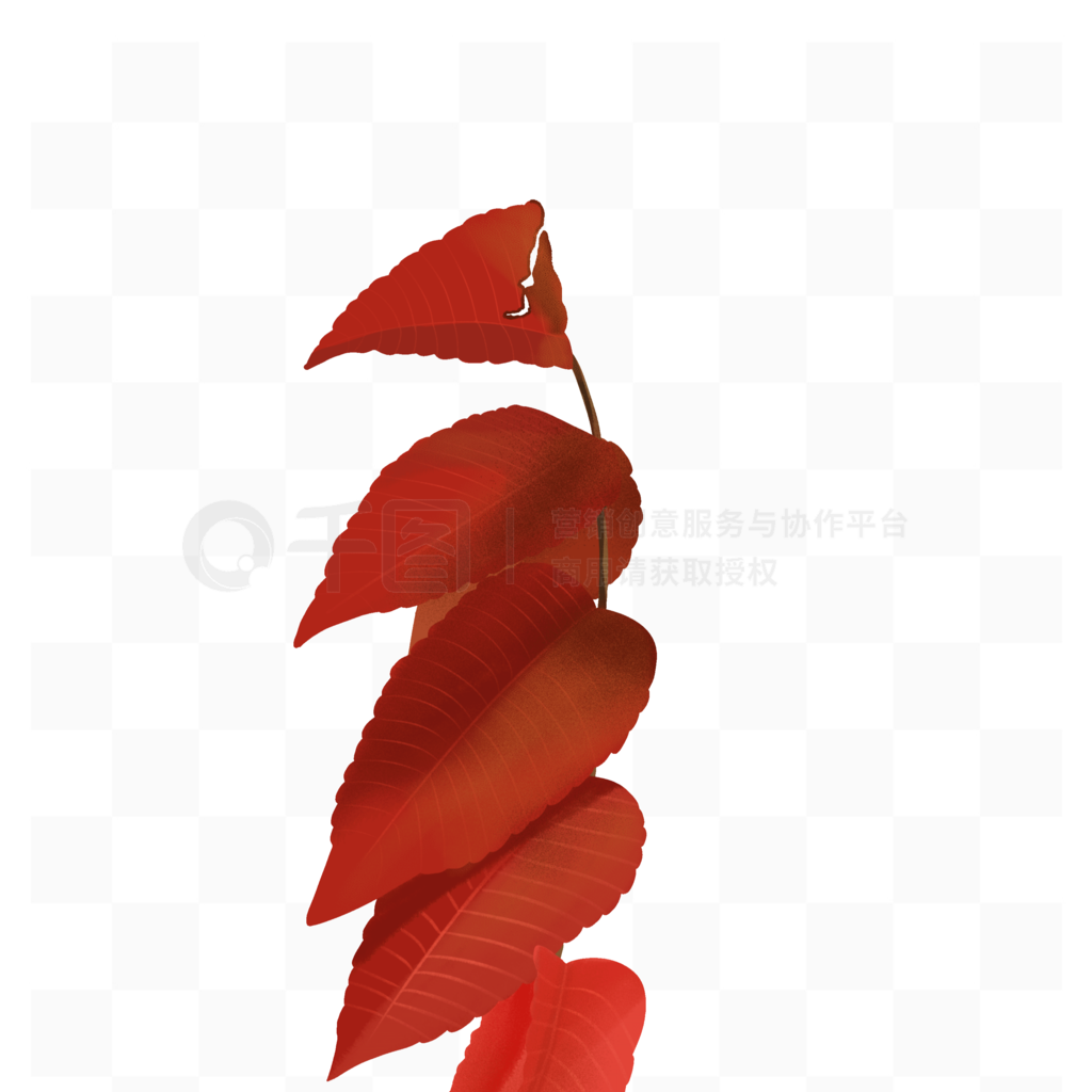 秋天到处可见的红叶