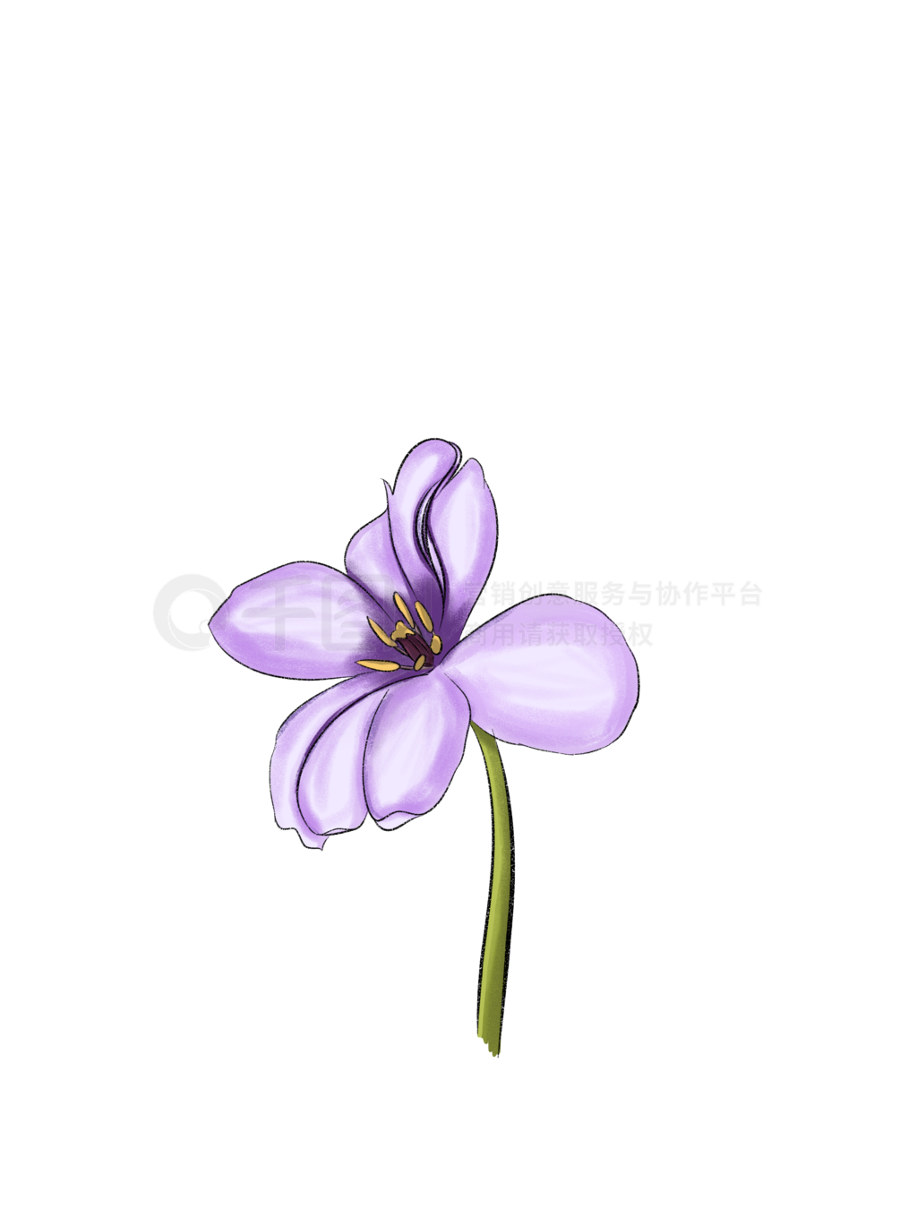 手绘简笔画紫色的花