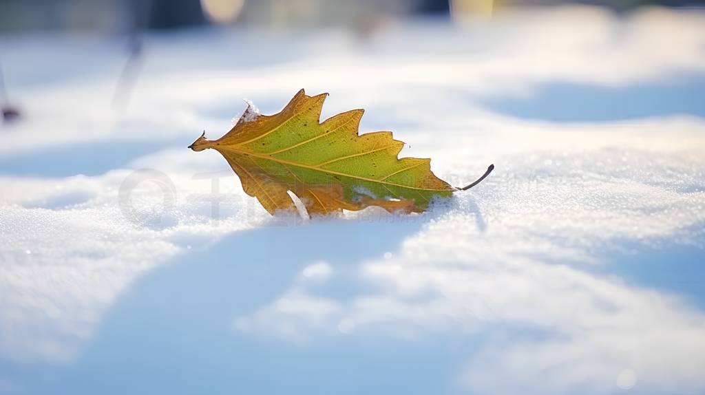 大雪数字艺术