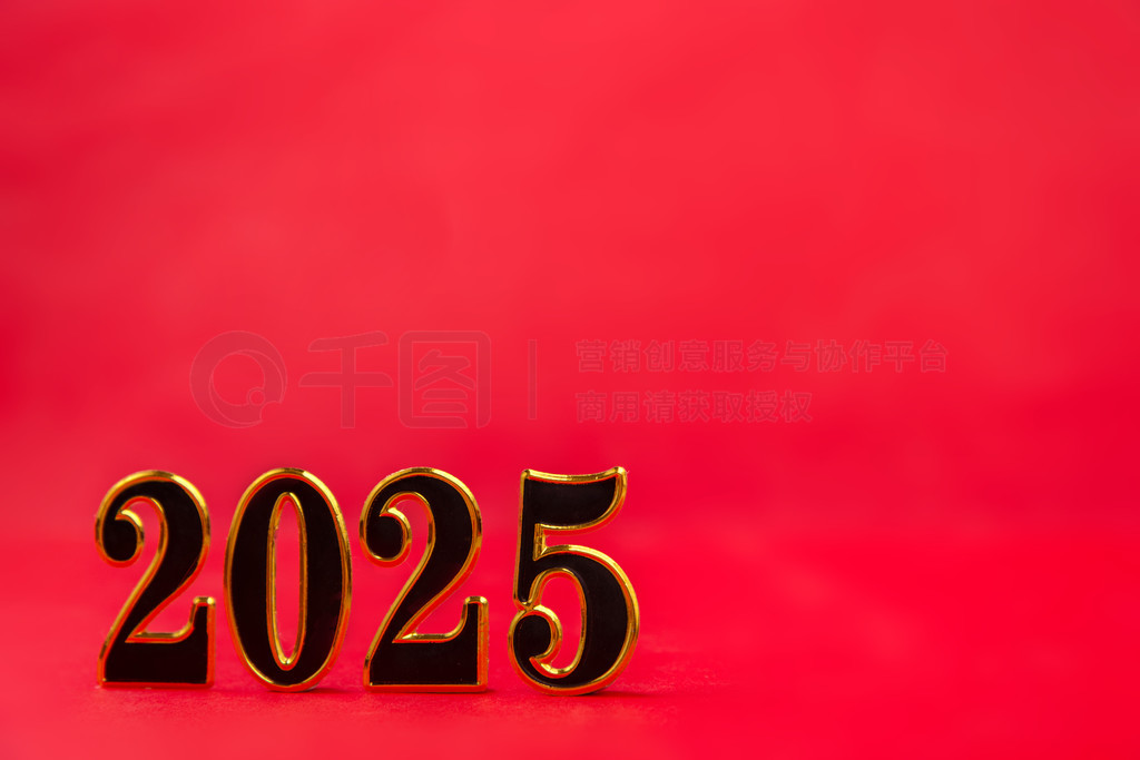 ɫϵ2025