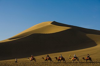 騰格裡沙漠485195新疆沙漠絲綢之路遺址13195519金色沙漠駱駝風景油畫