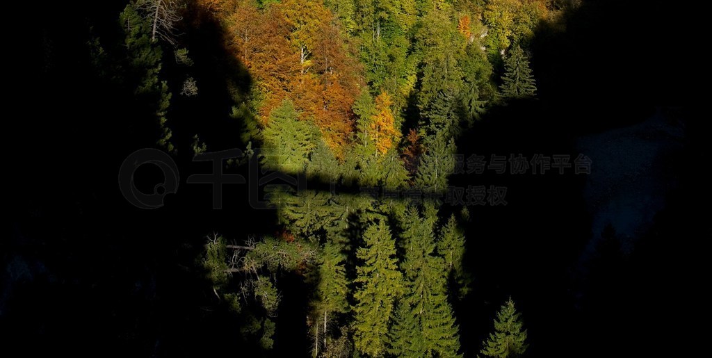 ¹ϲɭ(Fussen)챤(Schloss Hohenschwangau)