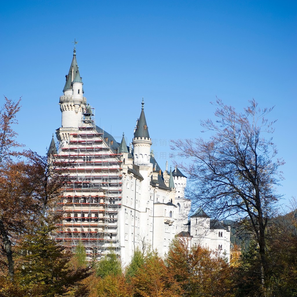 ¹ϲɭ(Fussen)챤(Schloss Hohenschwangau)