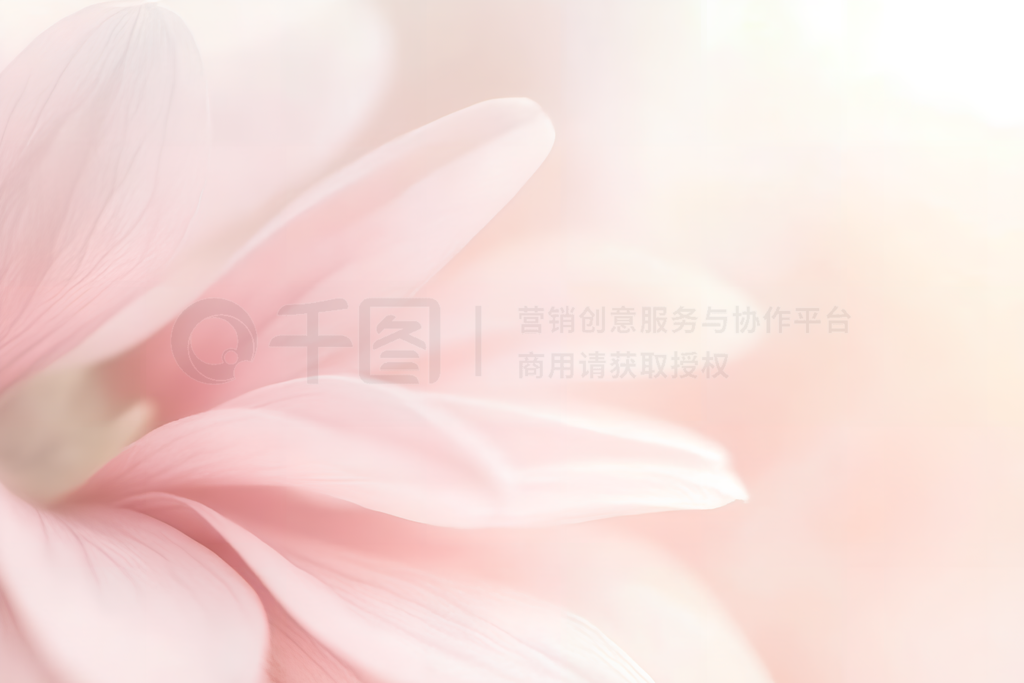 Flower backgroundԼɫдҵƬ