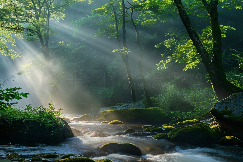 morning sunbeams onto shojinzawa stream - view ȥåեȤȻȻɭСϪˮ׷羰ҵƬ