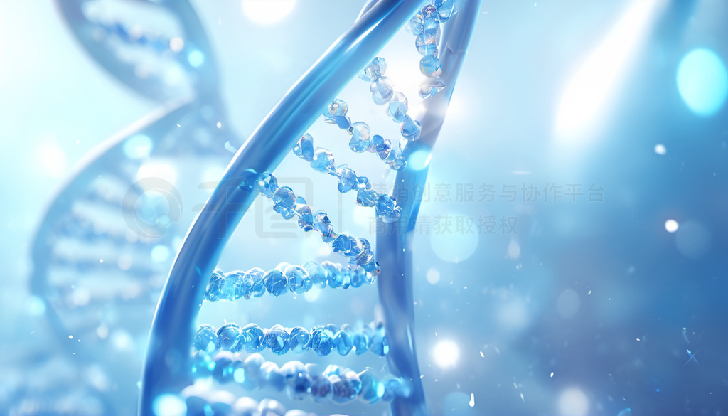 3DȾ＼DNA˫ӽṹҽƿƼ