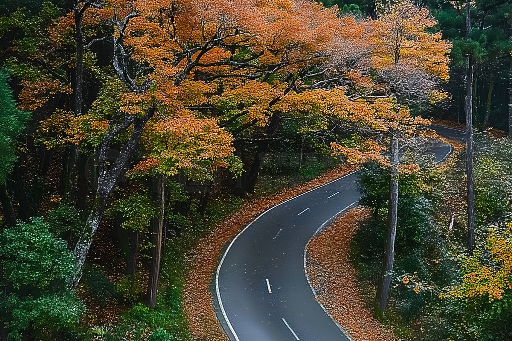 ϾȻɭɽ·羰ҵƬ