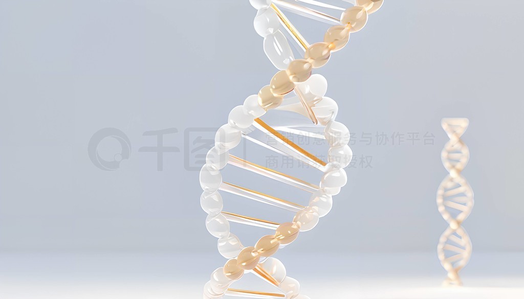 ҽƷDNA˫3Dͼ΢ĥɰ