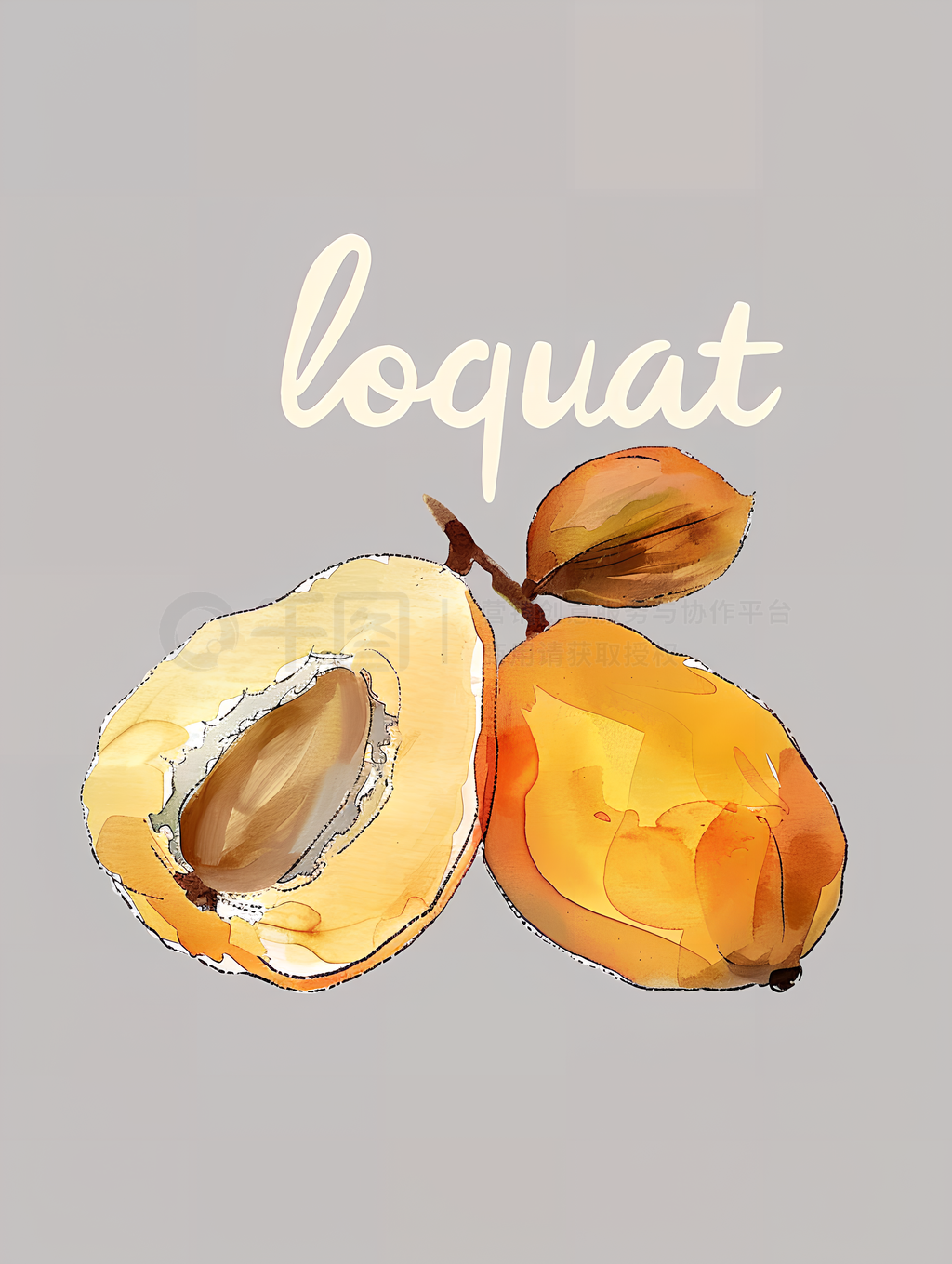 ˮʻڻɫпԱ֡loquat廭