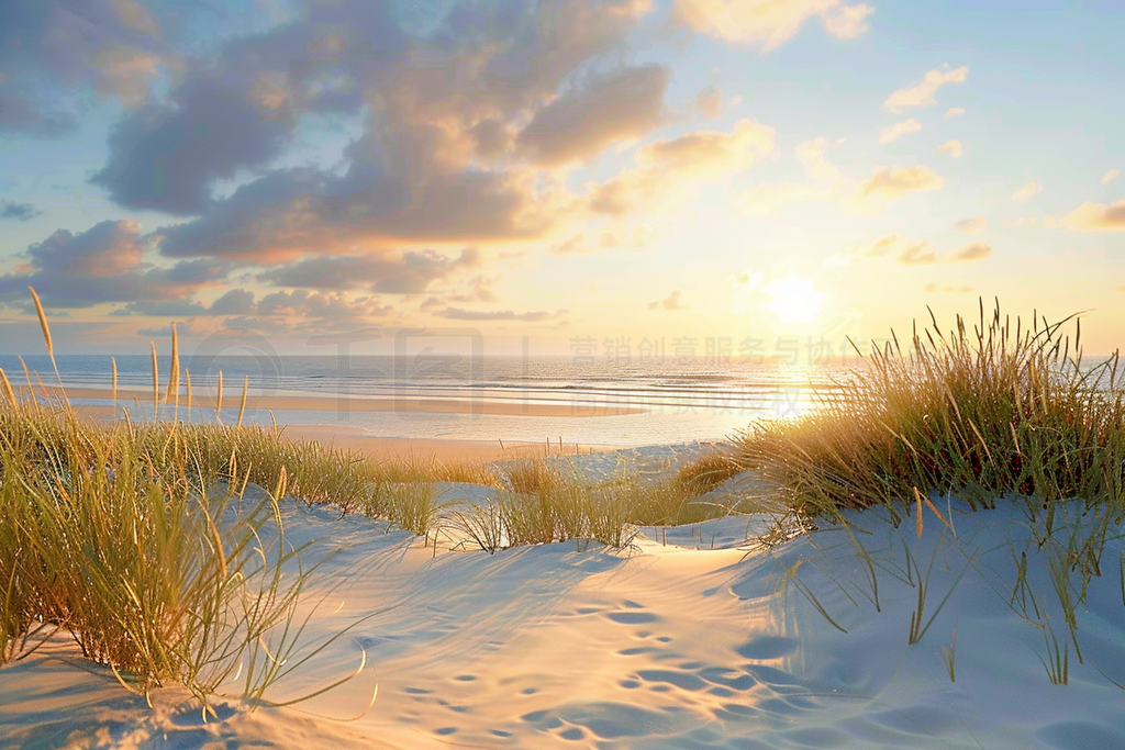 view over dunes with dune grass at sunset by the sea - view ȥåեȤȻȻ⺣̲ɳ̲ƶ羰Ƭ