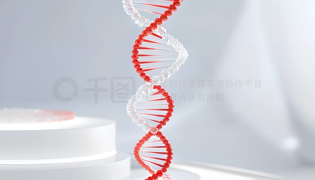 ҽƷDNA˫3Dͼ΢ĥɰ