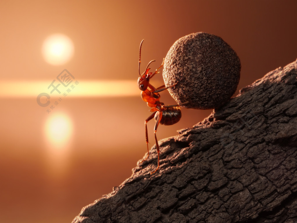 蚂蚁西西弗斯卷石头上山在山