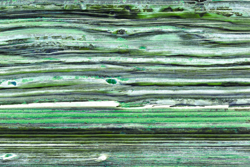 Old wooden green door grunge texture