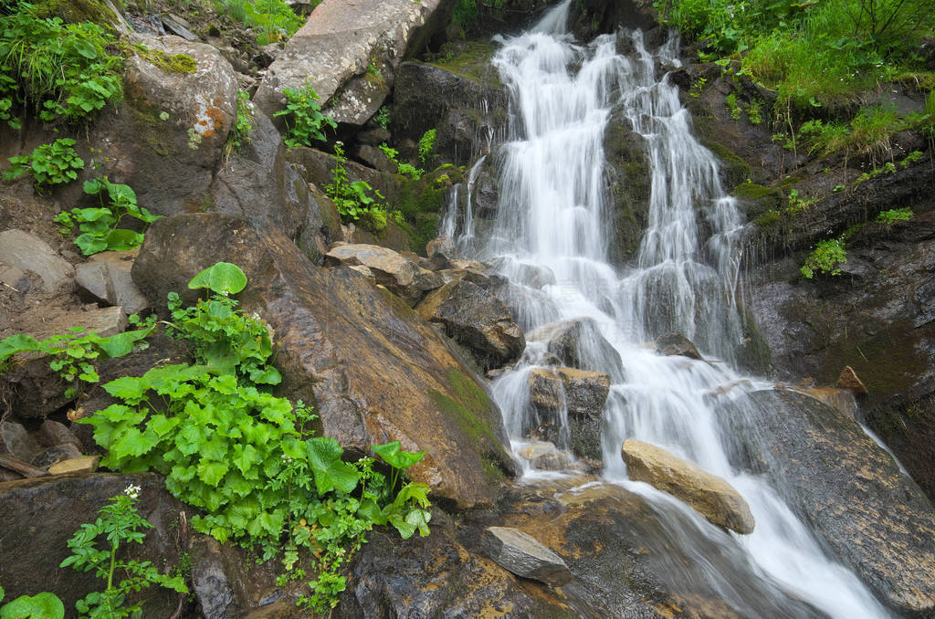 Spring rill flow in mountain.