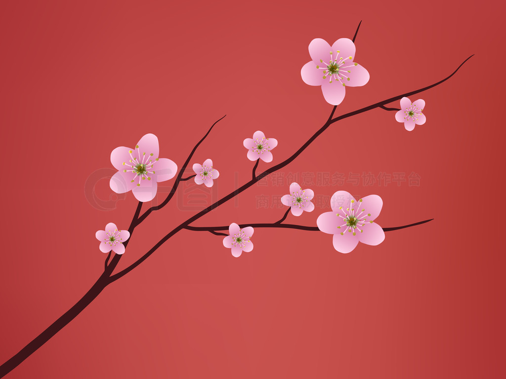 Sakura blossomӣʢ