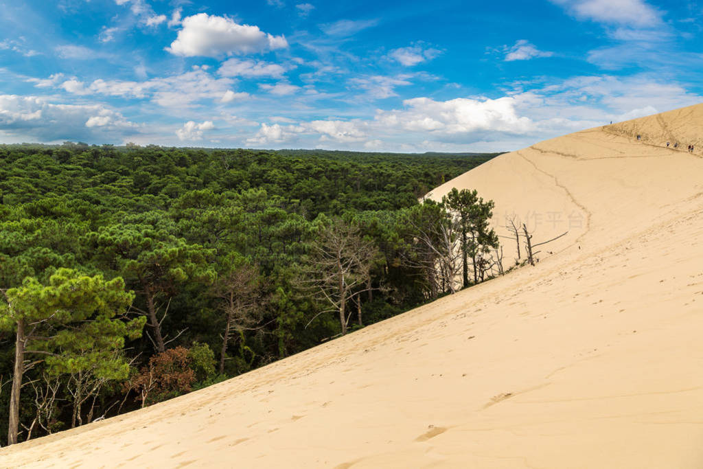 ڷ dune
