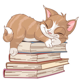 在书堆上睡觉的猫