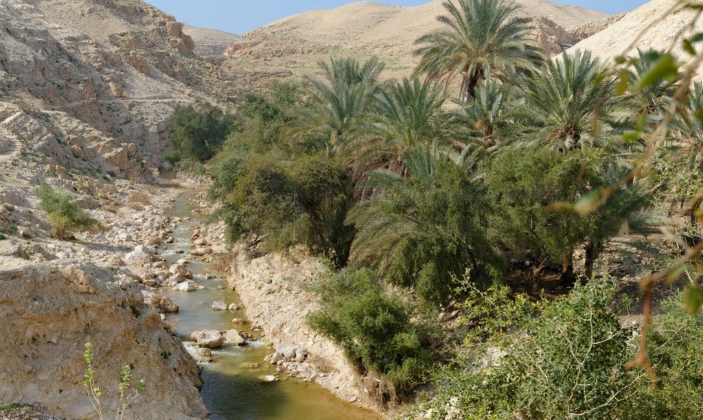 ɳĮƸ wadi qelt ɺӱ