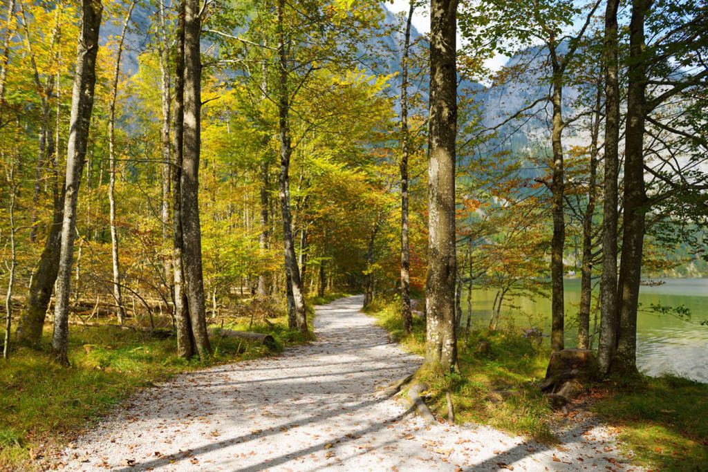 ͽСΧ羰续 Konigssee, Ϊ¹ɾĺ, λڼ˶ Berchtesgadener