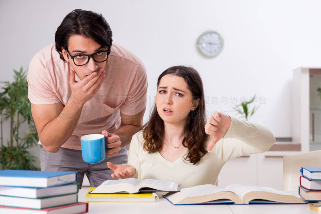 Students preparing for exam together at home