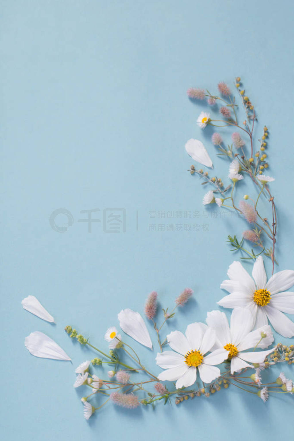 white flowers on paper background