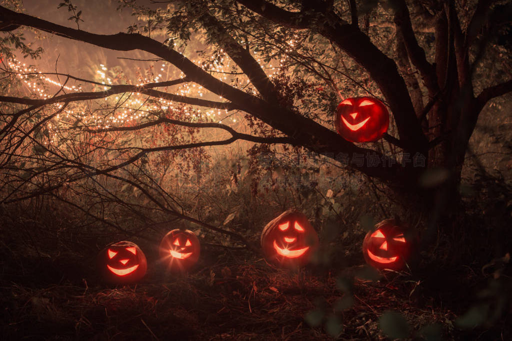 Halloween pumpkins in night forest