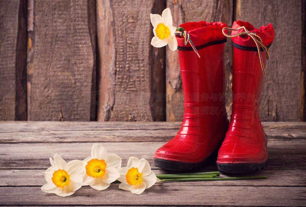 zapatos del jardn infantil rojo con flores de primavera