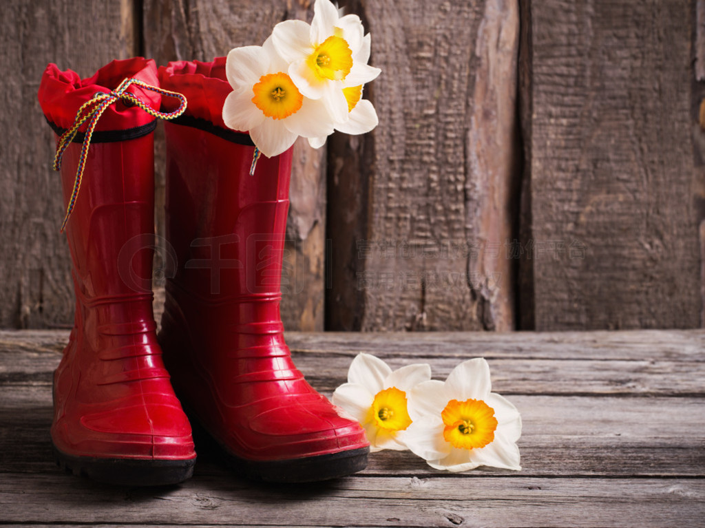 zapatos del jardn infantil rojo con flores de primavera