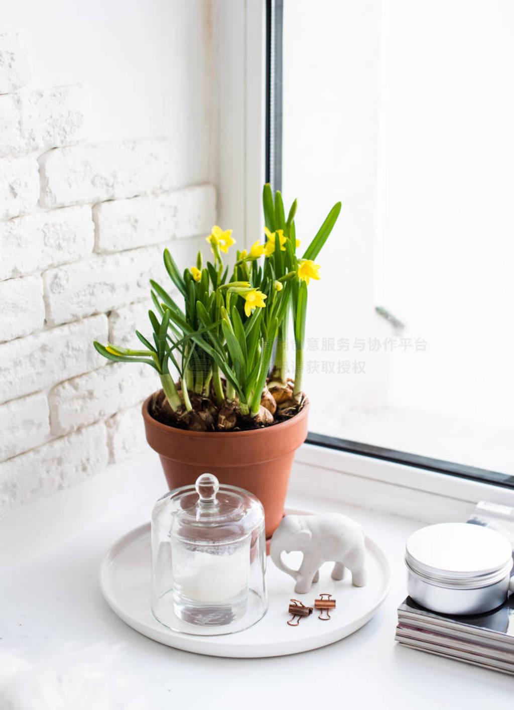 Springtime home decor with yellow daffodils on windowsill