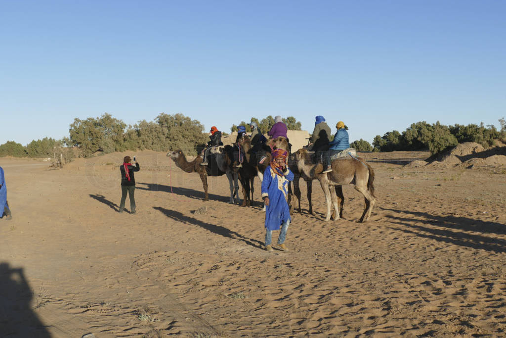 Tourists take selfies on camels