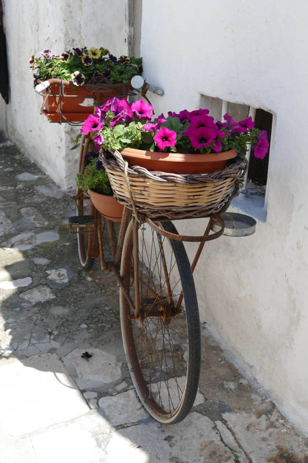 Flowers and bicycle along a white washed trulli wall
