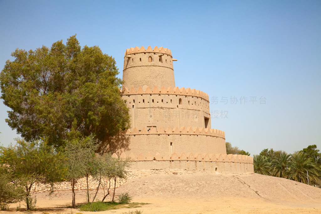  al ain  jahili 