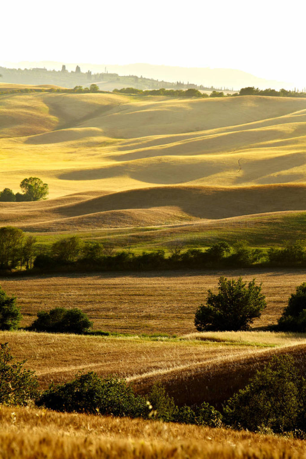 Scenic view of typical Tuscany landscape, Italy